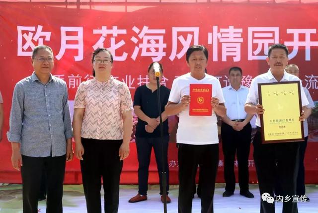 游玩好去處！內(nèi)鄉(xiāng)縣灌漲鎮(zhèn)歐月花海風情園盛妝開園(圖6)