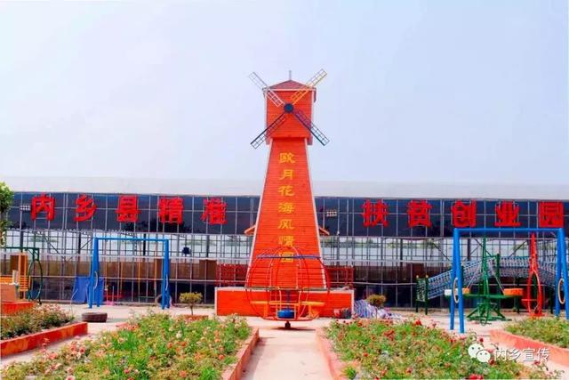 游玩好去處！內(nèi)鄉(xiāng)縣灌漲鎮(zhèn)歐月花海風情園盛妝開園(圖2)