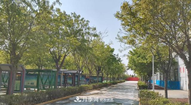 綠化苗木行業(yè)出現(xiàn)轉(zhuǎn)折時(shí)期(圖1)