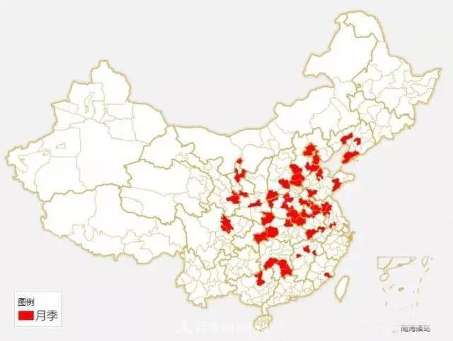 中國(guó)各城市市花大集合！月季是51個(gè)城市市花具首位(圖1)