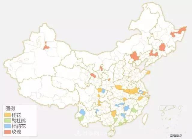 中國(guó)各城市市花大集合！月季是51個(gè)城市市花具首位(圖2)