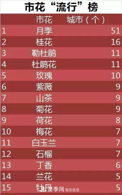 中國(guó)各城市市花大集合！月季是51個(gè)城市市花具首位(圖3)