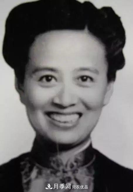 月季夫人蔣恩鈿，是她把月季花種到了人民大會堂(圖2)