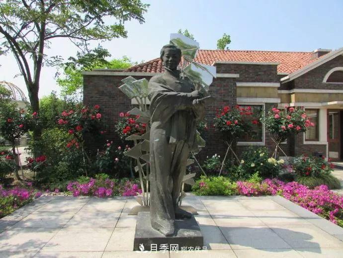 月季夫人蔣恩鈿，是她把月季花種到了人民大會堂(圖7)