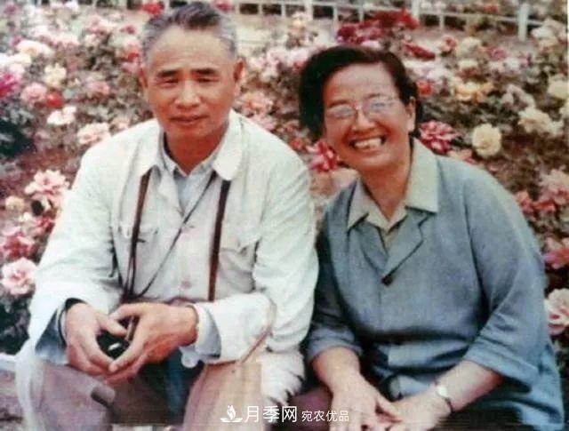 月季夫人蔣恩鈿，是她把月季花種到了人民大會堂(圖5)