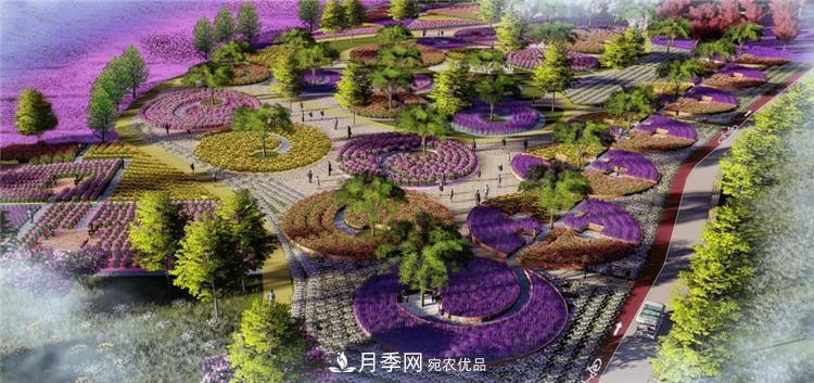 被稱京南最美花園 河北滄州肅寧國際月季博覽園大觀(圖4)