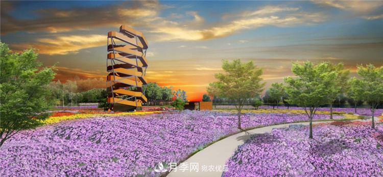 被稱京南最美花園 河北滄州肅寧國際月季博覽園大觀(圖6)