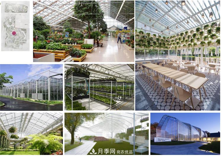 被稱京南最美花園 河北滄州肅寧國際月季博覽園大觀(圖5)
