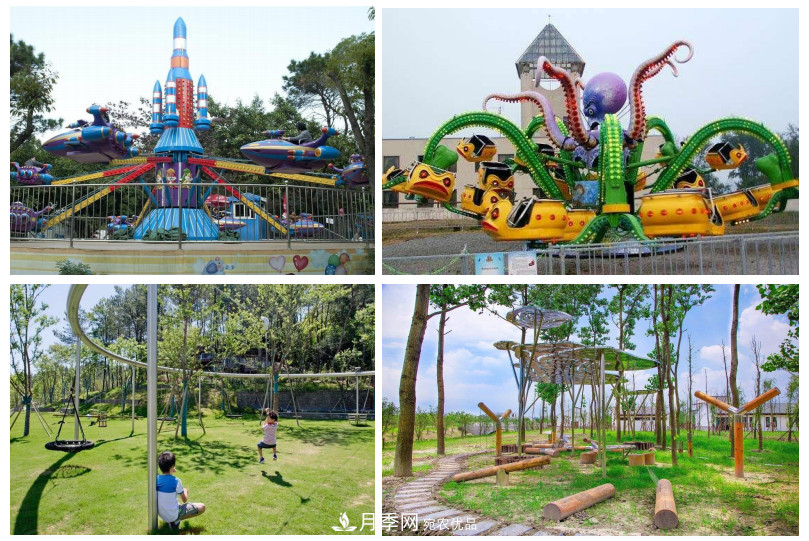 被稱京南最美花園 河北滄州肅寧國際月季博覽園大觀(圖7)