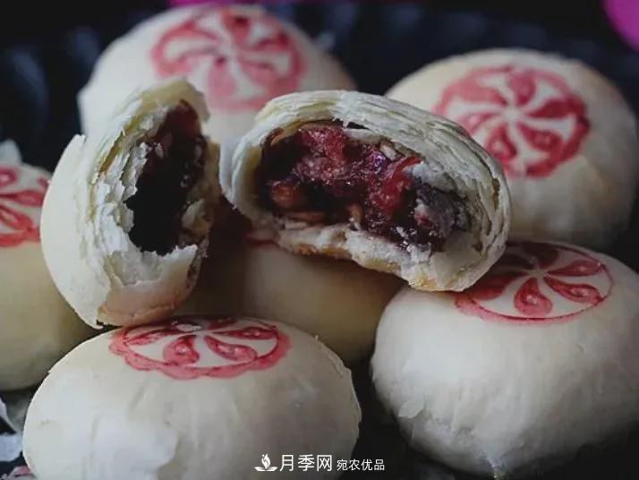 被稱京南最美花園 河北滄州肅寧國際月季博覽園大觀(圖13)