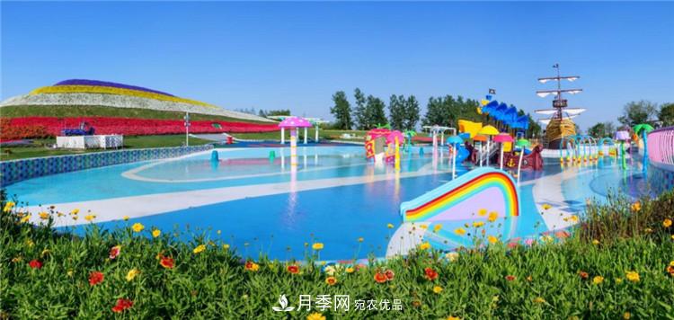 被稱京南最美花園 河北滄州肅寧國際月季博覽園大觀(圖11)