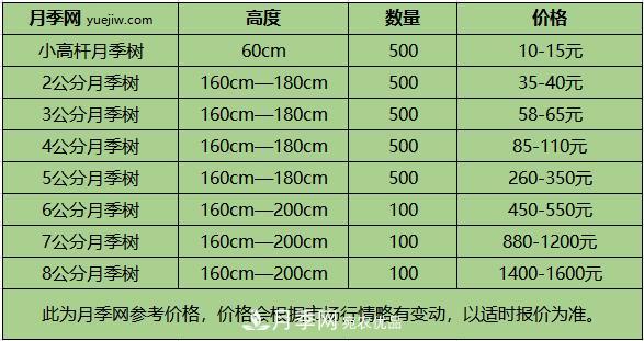 1、3、6公分南陽樹狀月季多少錢一棵？樹狀月季價格表！(圖2)