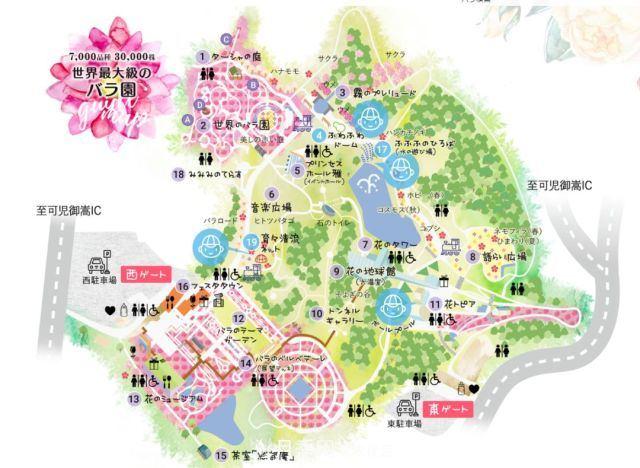 走進(jìn)世界***大月季園，近7000個品種，30000棵月季……(圖6)