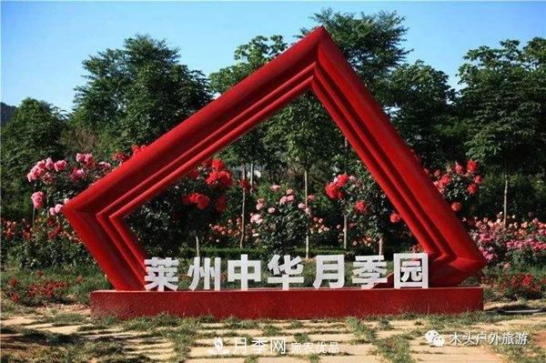 中國(guó)十大月季園盤點(diǎn)！賞月季不能錯(cuò)過(圖7)