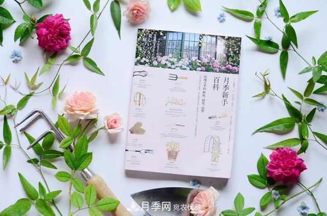 《月季新手百科》，不只是給新手看的月季百科寶典(圖2)
