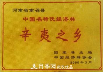 “中國辛夷之鄉(xiāng)”在哪里？河南省南召縣(圖1)