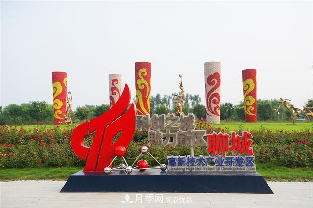 山東濟(jì)南的后花園，童話(huà)般月季花王國(guó)，300畝900個(gè)品種月季花盛放(圖3)