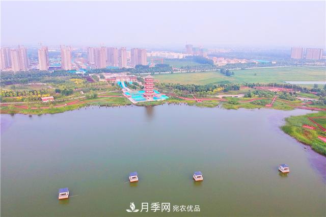 山東濟(jì)南的后花園，童話(huà)般月季花王國(guó)，300畝900個(gè)品種月季花盛放(圖9)