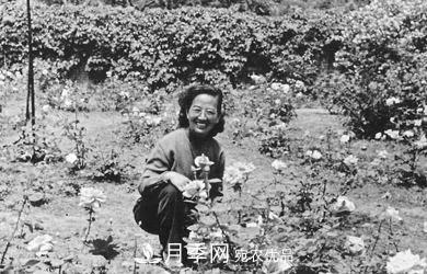 她潛心研究月季，帶領(lǐng)中國月季走向世界，被稱為“月季夫人”(圖4)