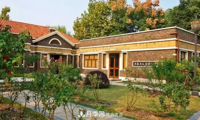 她潛心研究月季，帶領(lǐng)中國月季走向世界，被稱為“月季夫人”(圖3)