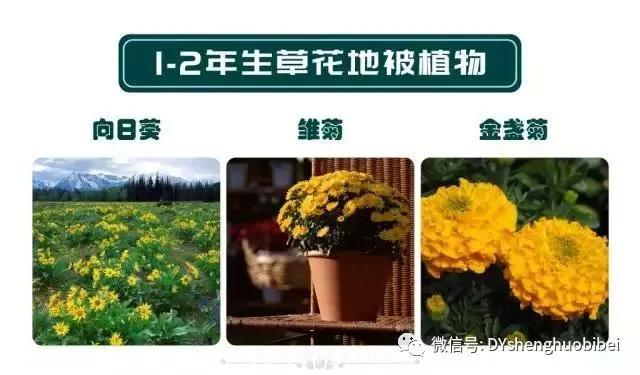 苗木必備基本常識手冊(圖11)
