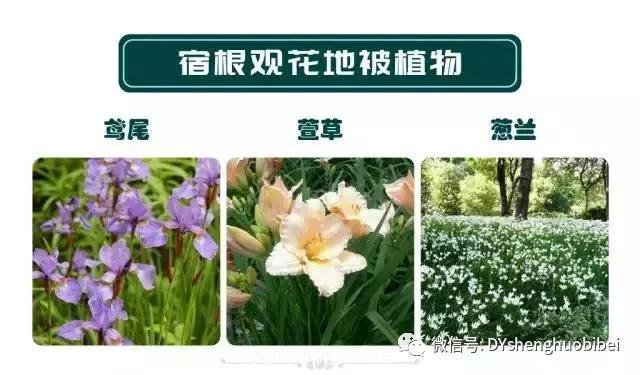 苗木必備基本常識手冊(圖12)