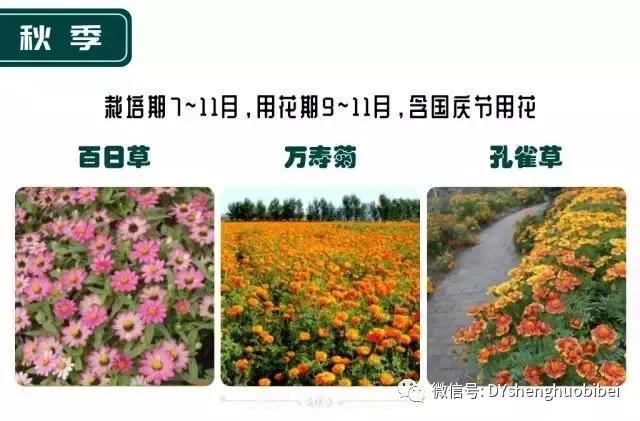 苗木必備基本常識手冊(圖21)