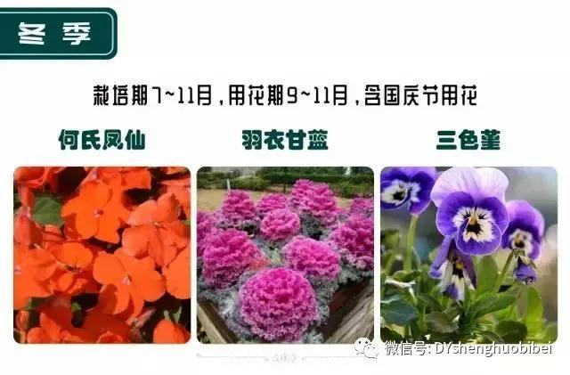 苗木必備基本常識手冊(圖22)