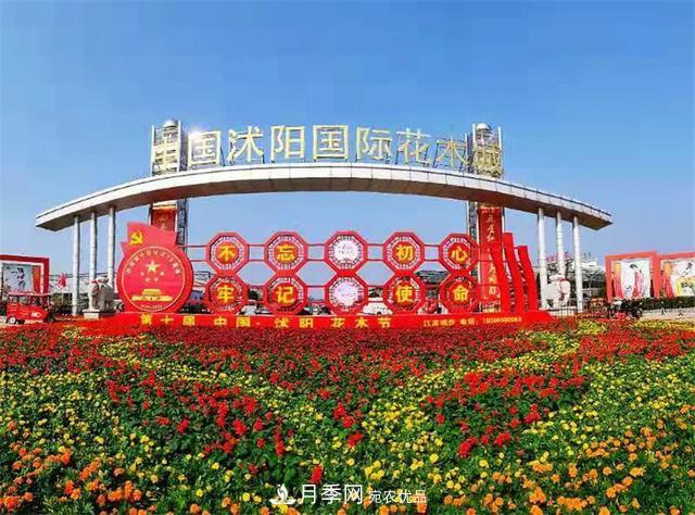 這些中國著名苗木產(chǎn)地你知道幾個(gè)？值得收藏！(圖2)