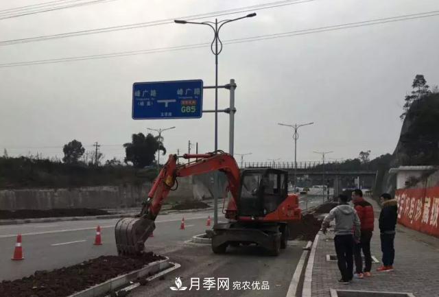 綠化工程苗木價(jià)格計(jì)算辦法(圖1) 綠化工程苗木價(jià)格計(jì)算辦法(圖1)