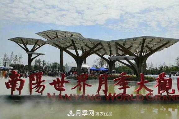 南陽世界月季大觀園：只愛園中月季美，不羨他鄉(xiāng)百花艷(圖1)
