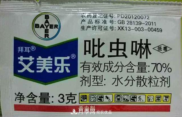 月季的常備藥品有哪些？收好了！(圖4)