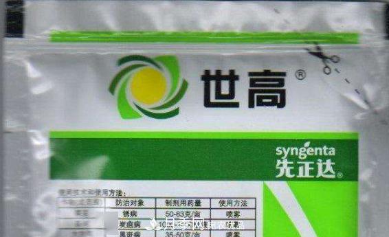 月季的常備藥品有哪些？收好了！(圖6)