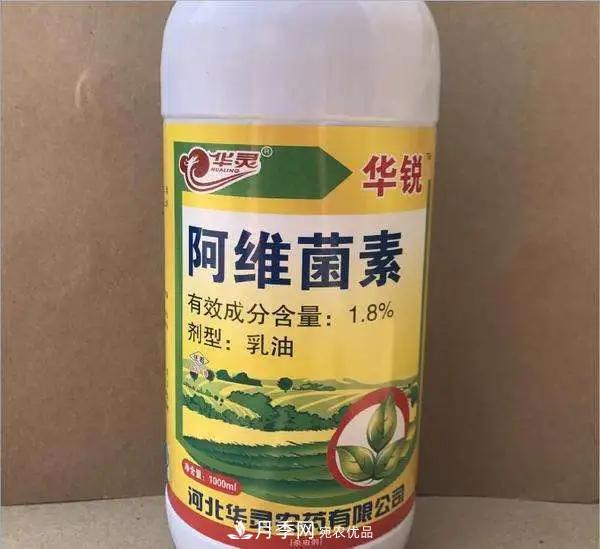 月季的常備藥品有哪些？收好了！(圖9)