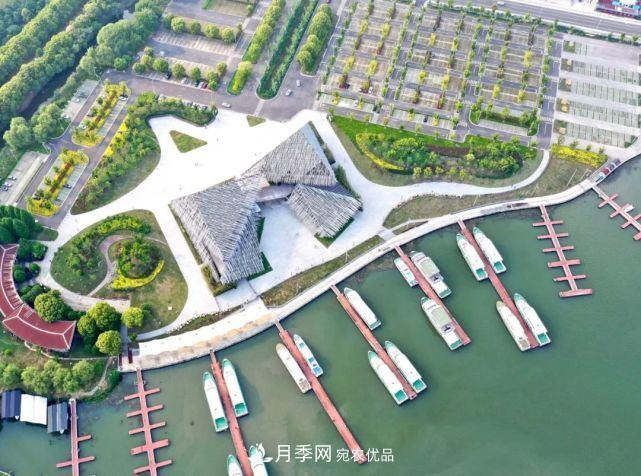 蘇洲金雞湖畔！大美月季花海！(圖21)