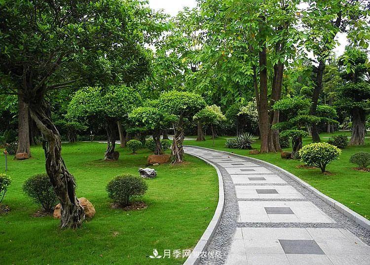 破解苗木行業(yè)需求的發(fā)展變化，弄懂才能賺錢?！(圖1)