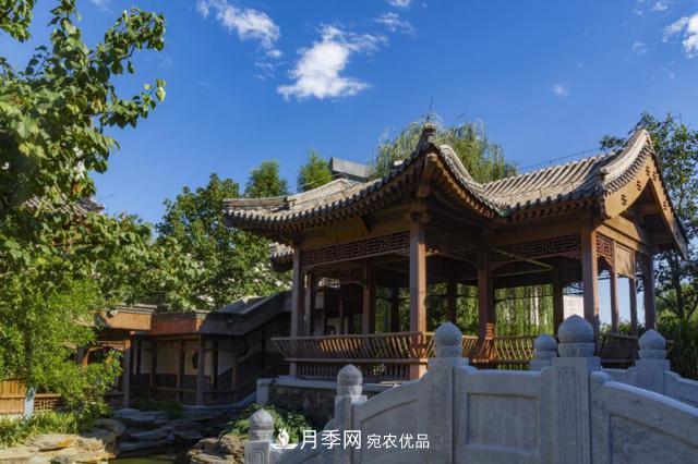 今夏到北京豐臺(tái)，看亭臺(tái)樓閣，賞各色月季(圖4)