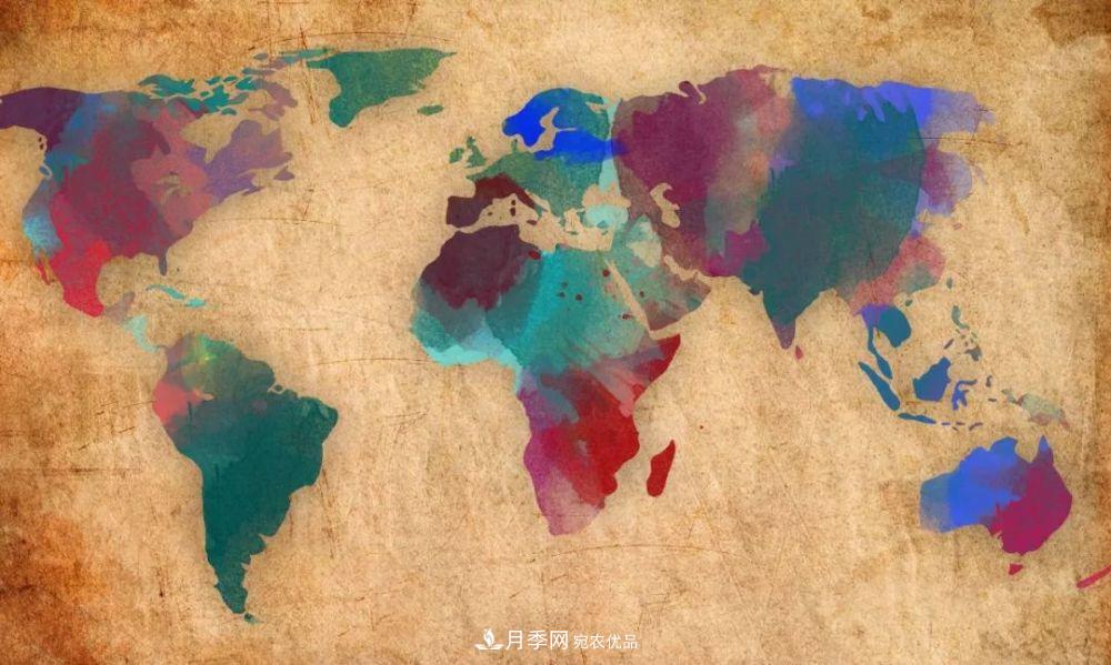 月季的前世今生 | 假如中國(guó)月季沒(méi)有傳入歐洲(圖7)