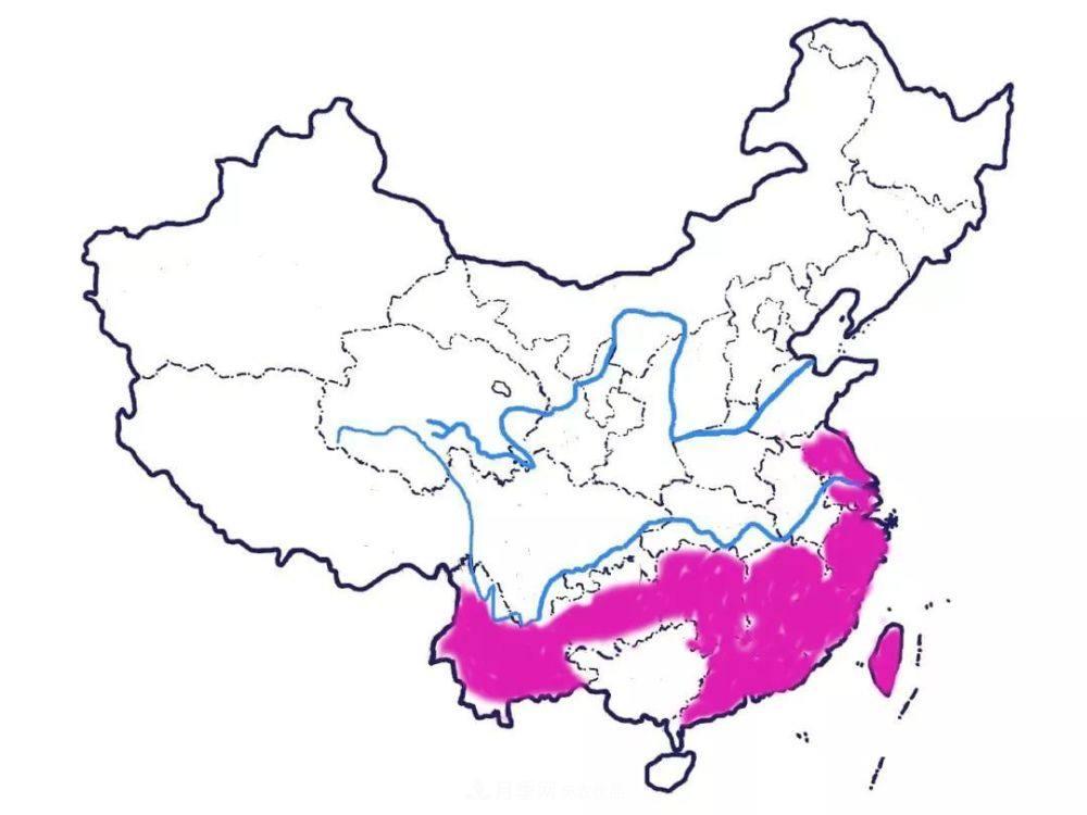 月季的前世今生 | 假如中國(guó)月季沒(méi)有傳入歐洲(圖16)
