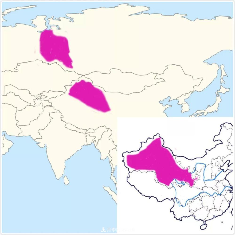 月季的前世今生 | 假如中國(guó)月季沒(méi)有傳入歐洲(圖22)