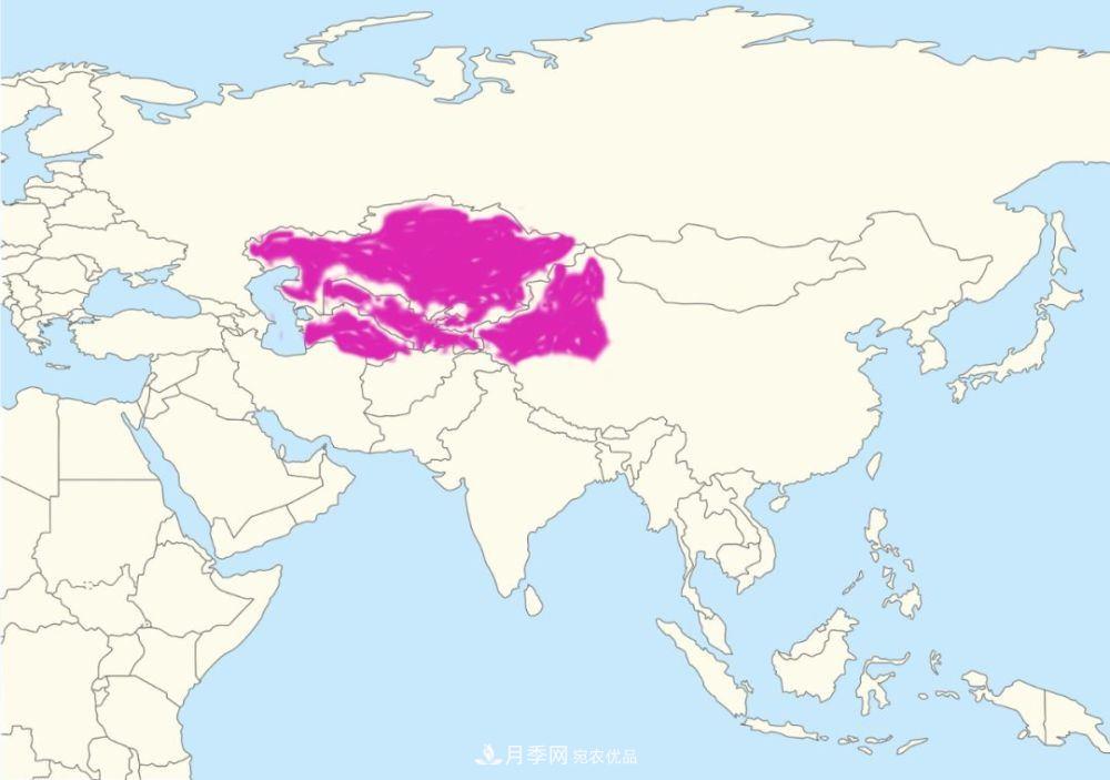 月季的前世今生 | 假如中國(guó)月季沒(méi)有傳入歐洲(圖25)