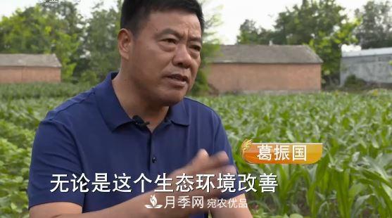 河南商丘男子種苗木，半年?duì)I業(yè)額達(dá)3000萬(wàn)(圖3)
