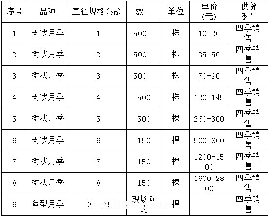安徽樹狀月季的價(jià)格？樹狀月季各規(guī)格多少錢一棵？(圖4)