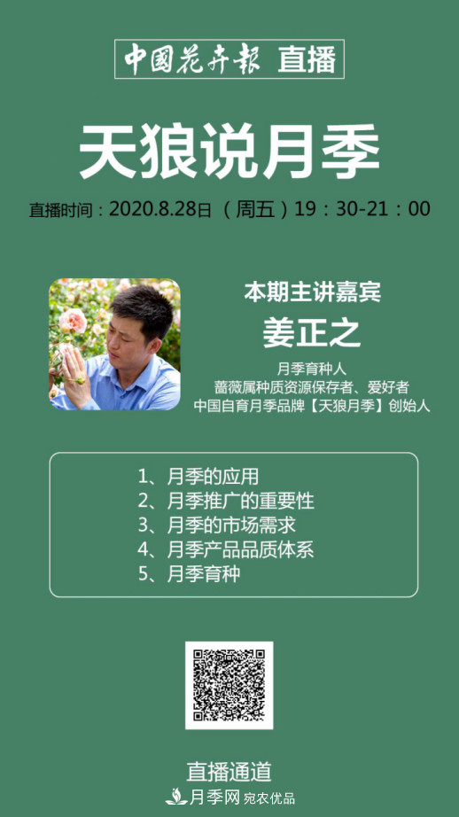 「直播預(yù)告」聽天狼細(xì)說(shuō)月季的現(xiàn)在與未來(lái)(圖13)