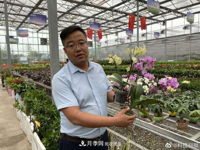 甘肅山里的鮮花基地，讓農(nóng)民顧家掙錢兩不誤(圖1)