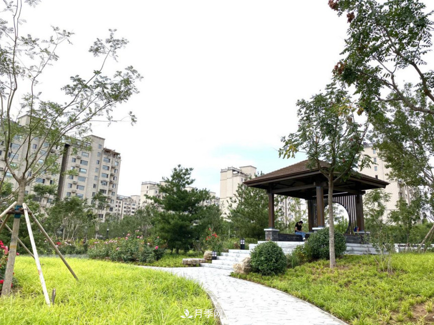 免費(fèi)，景美，有兒童活動(dòng)區(qū)！北京密云月季公園，你去了嗎！(圖3)