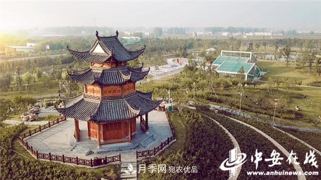 探訪第十屆中國月季展覽會(huì) 2000多種月季花月底綻放(圖3)