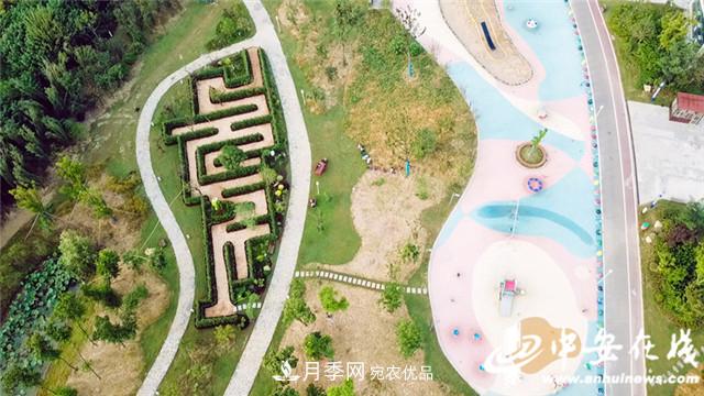 探訪第十屆中國月季展覽會(huì) 2000多種月季花月底綻放(圖5)
