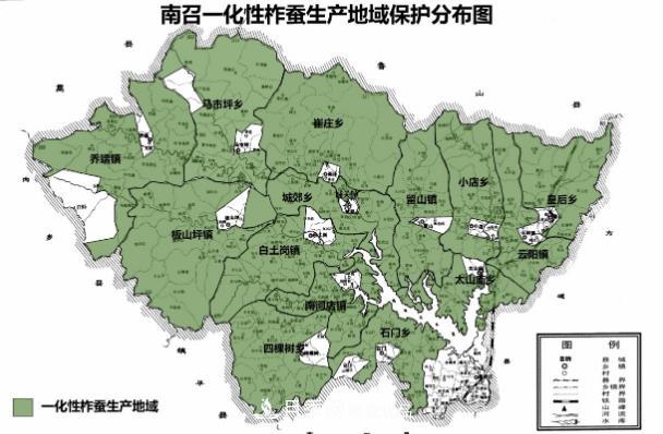 河南南召：柞蠶首個獲得地理標志認證(圖1)