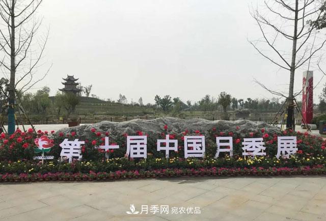 第十屆中國(guó)月季展覽會(huì)，南陽(yáng)園和鄭州園亮相(圖1)